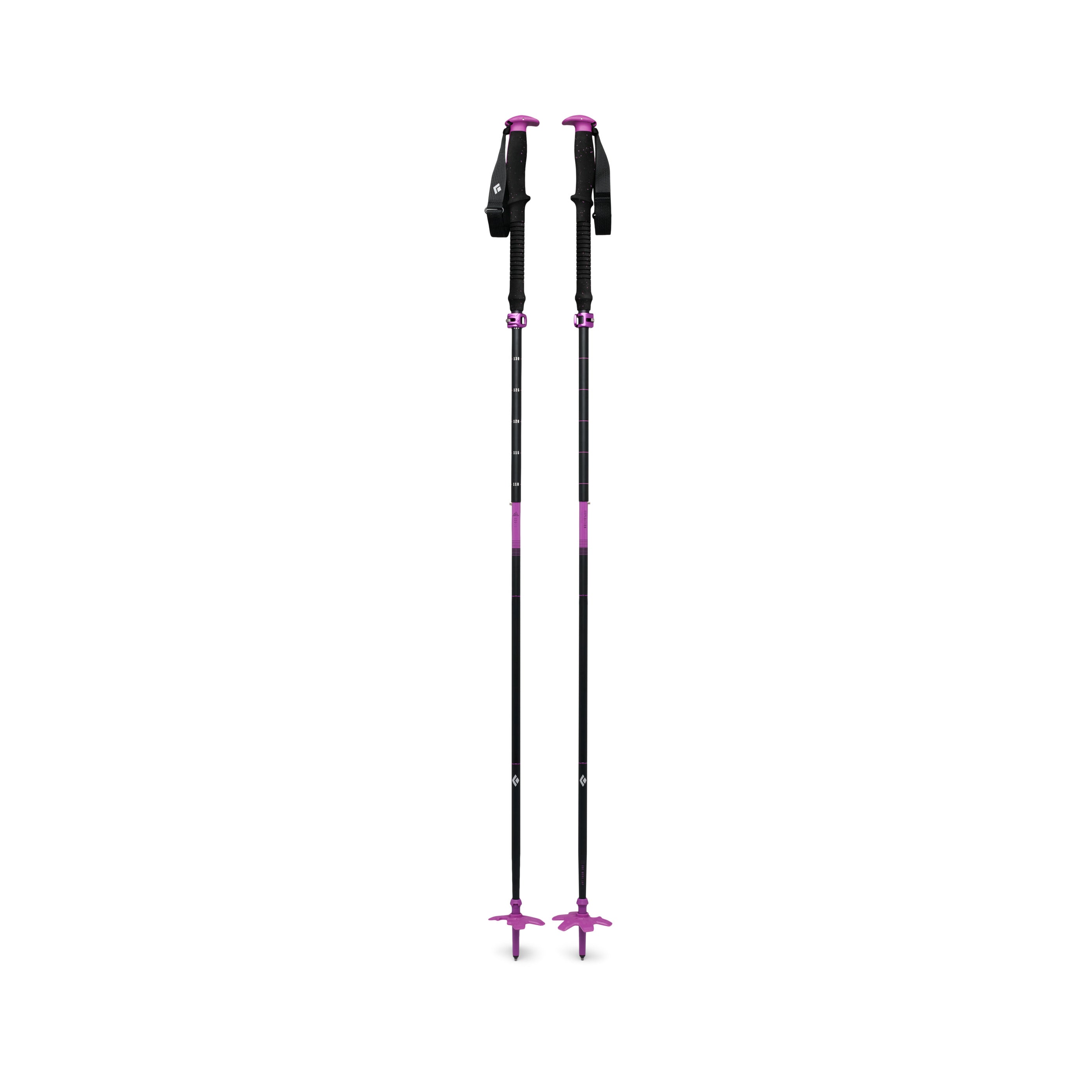 Expedition Ski Poles
