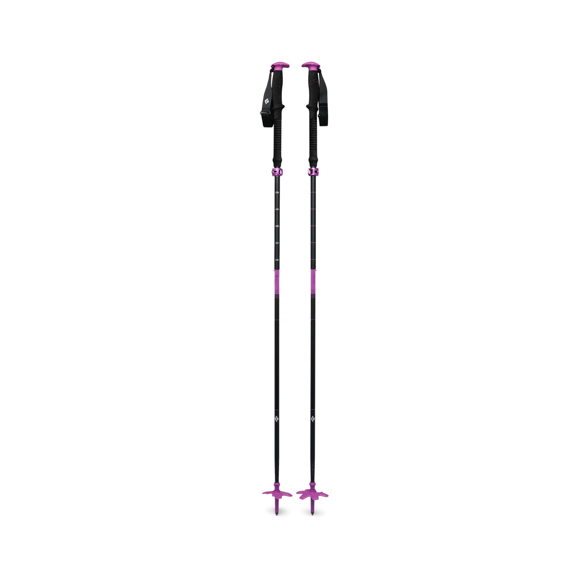 Expedition Ski Poles