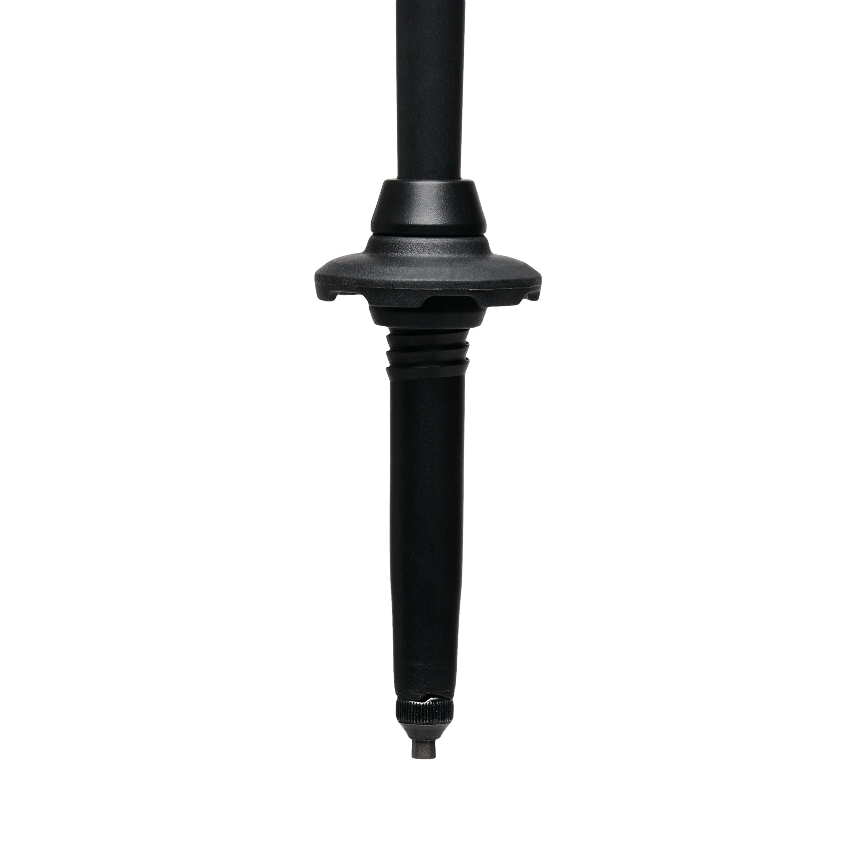 Alpine Carbon Cork Trekking Poles