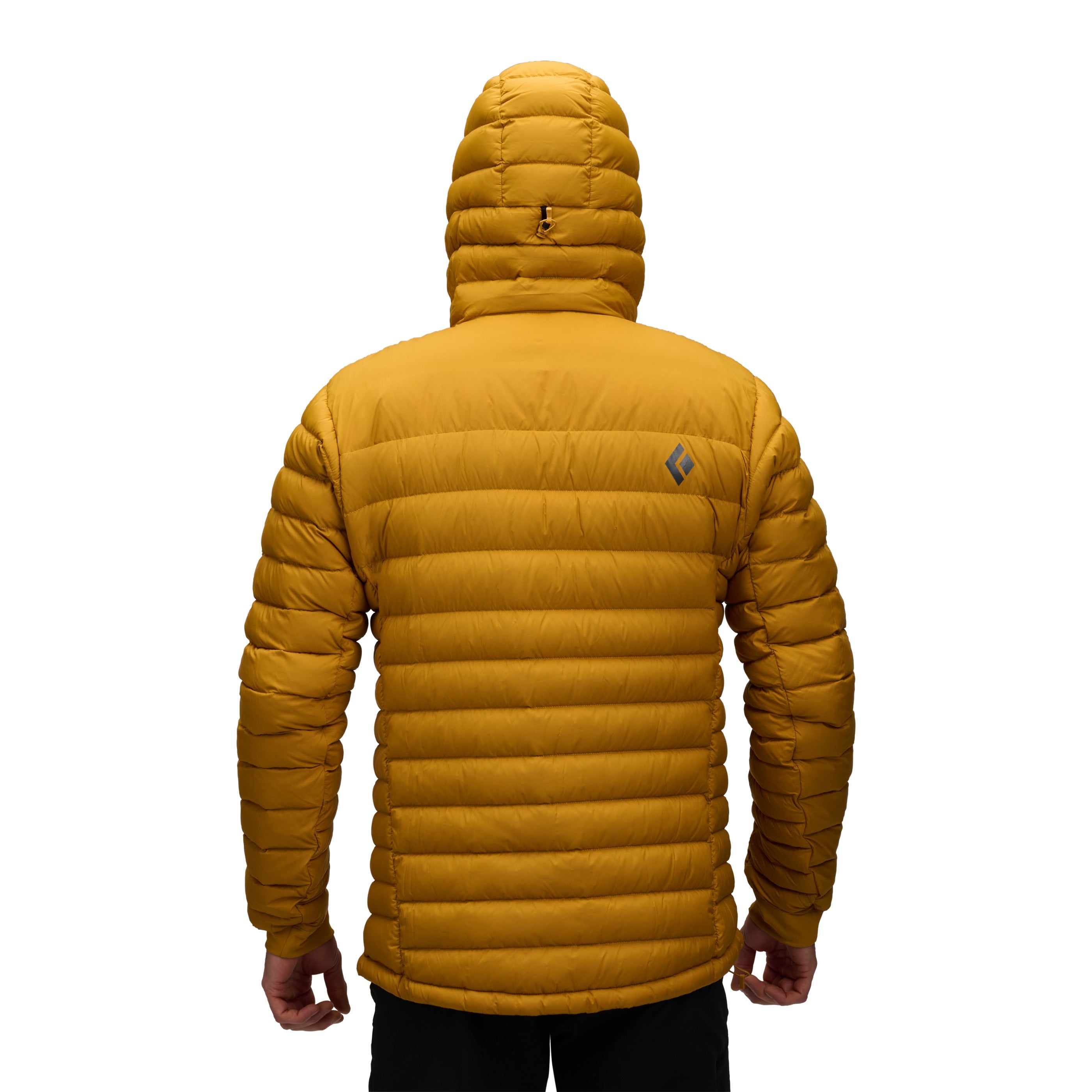 Men's Access Down 2.0 Hoody - Past Season