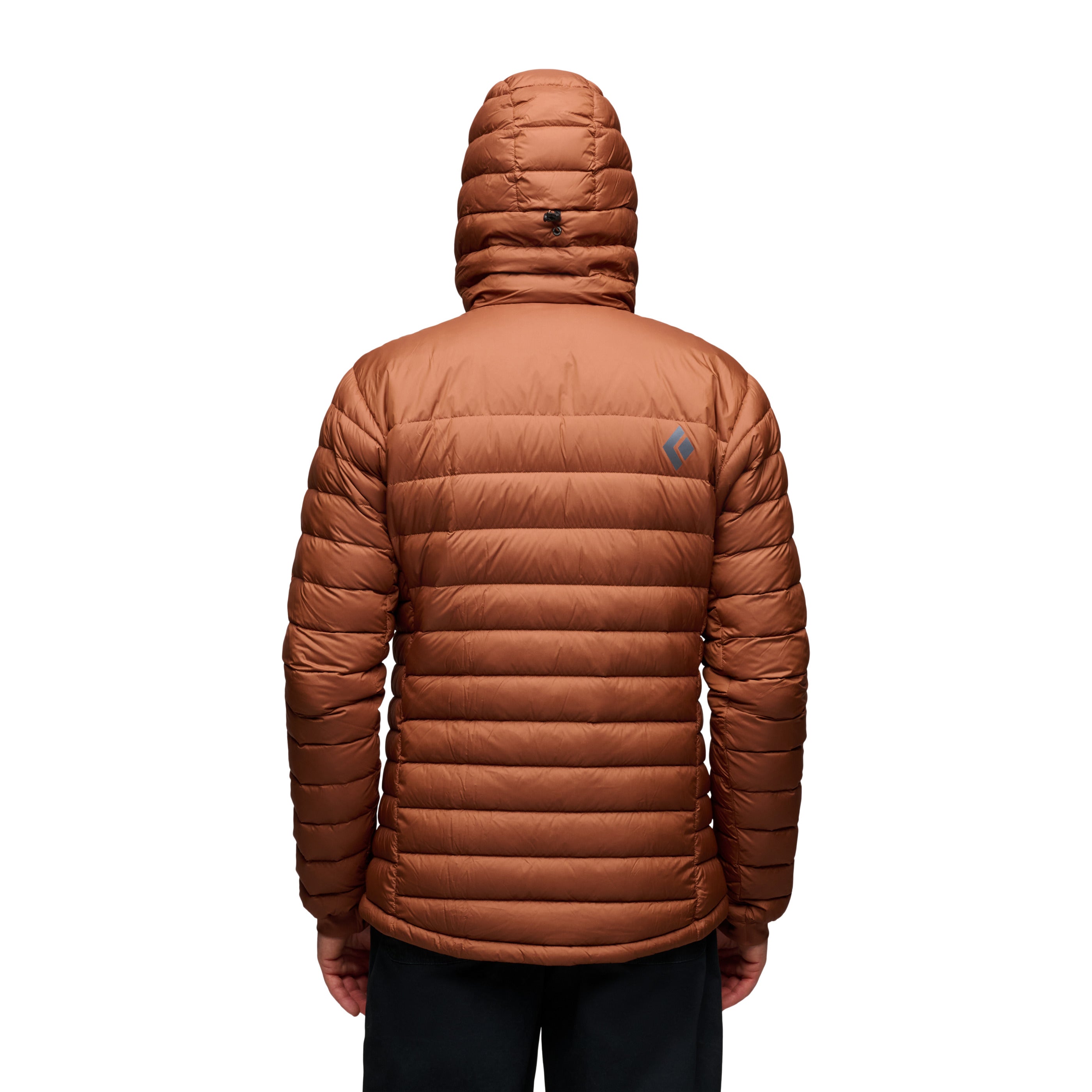 Men's Access Down 2.0 Hoody