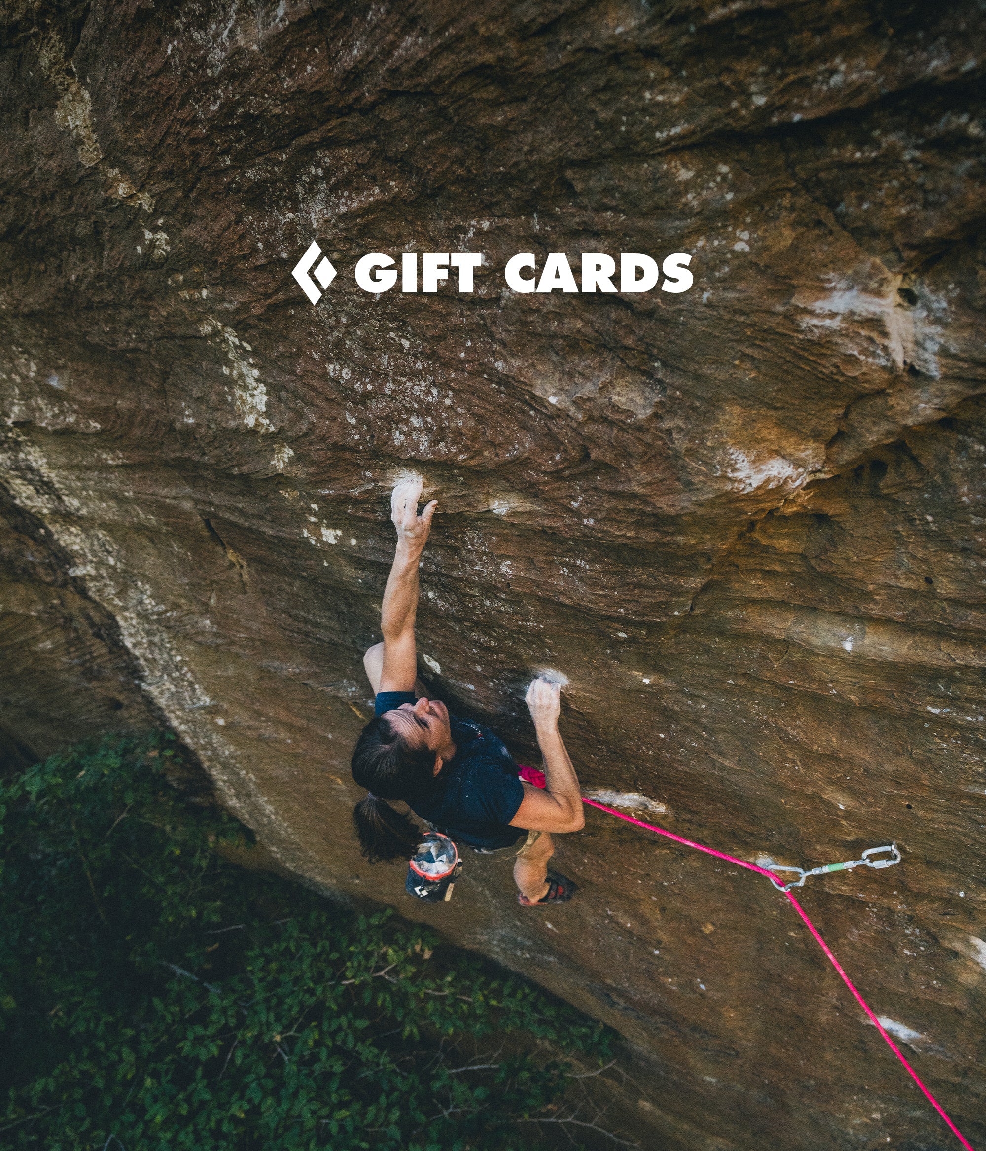 eGIFT CARDS